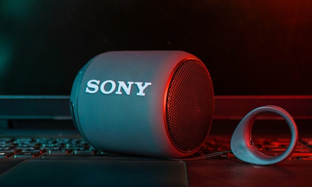 Sony Portable Bluetooth Speakers