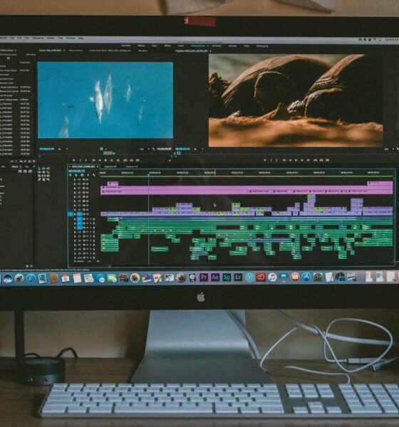 best video editing monitor